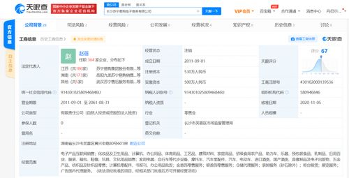 長沙蘇寧易購電子商務注銷 決議解散廣告代理業務