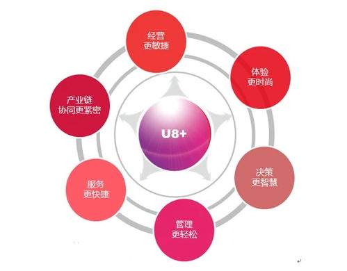 探究用友U8財(cái)務(wù)管理軟件價格與廣告代理業(yè)務(wù)